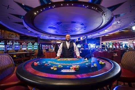 casino operator dan word|Common Casino Jobs .